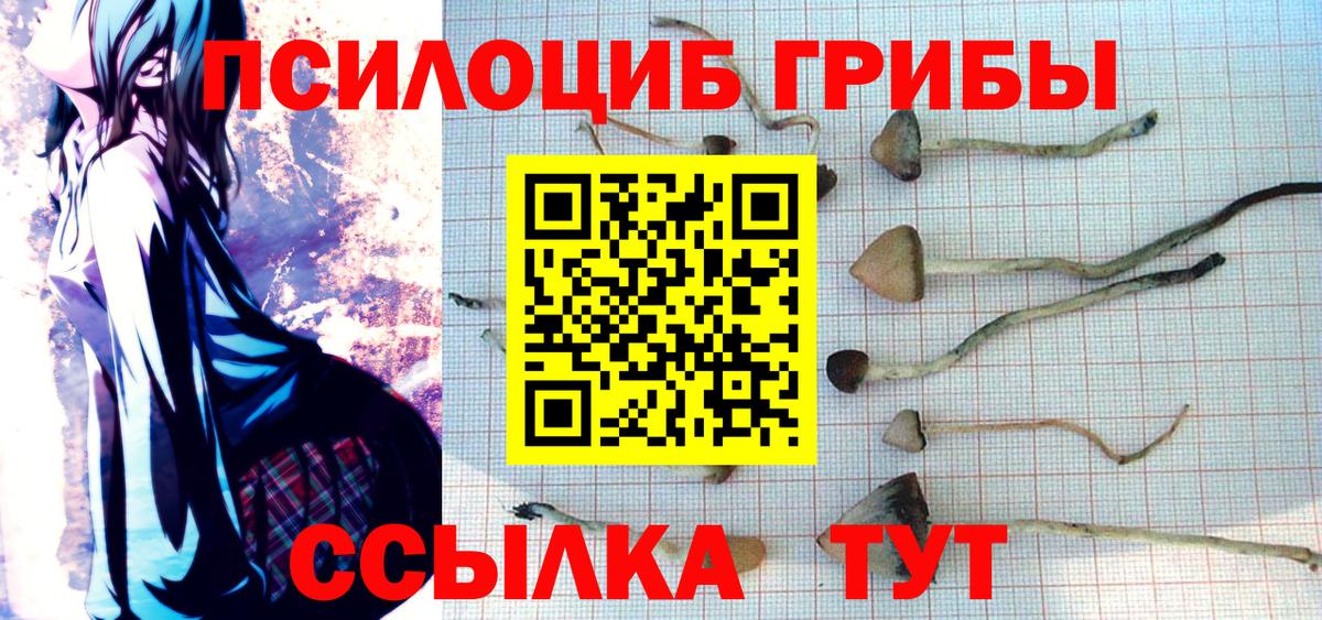 Псилоцибиновые грибы Psilocybine cubensis Коммунар