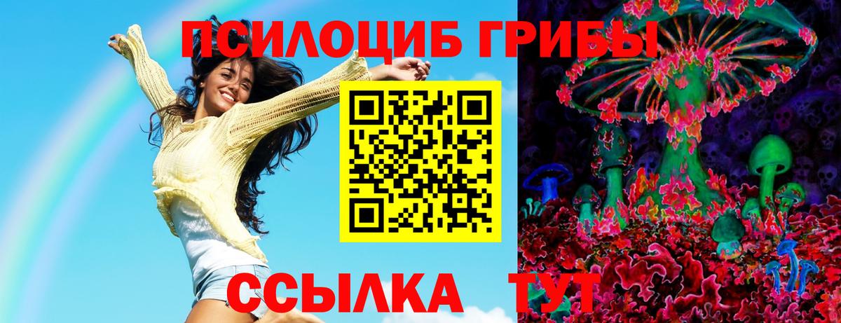 Коммунар  Псилоцибиновые грибы Psilocybine cubensis  Галлюциногенные грибы Psilocybe  Вход с VPN 